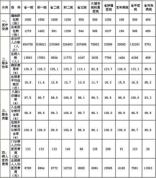 省级医院医疗效劳质量及效率情形表（2010年第2季度） - 昆明赛诺制药股份有限公司