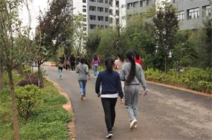 昆明赛诺制药运动会 - 昆明赛诺制药股份有限公司