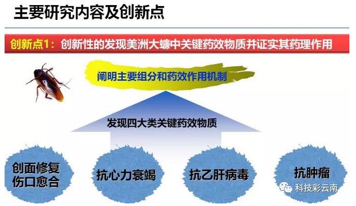 必威·BETWAY(西汉姆联)官方网站