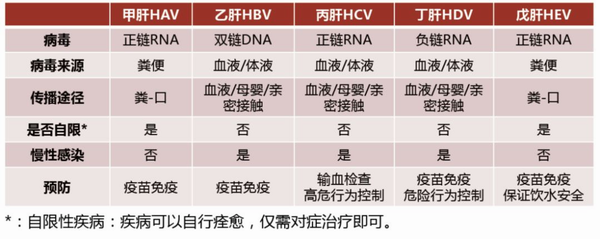 必威·BETWAY(西汉姆联)官方网站